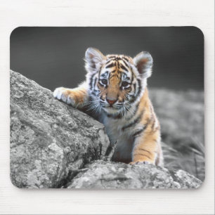 Adorable Tiger Cub Mousepad