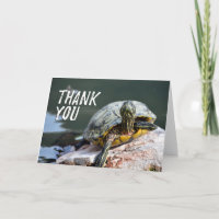 Adorable Turtle Photo Thank You Card