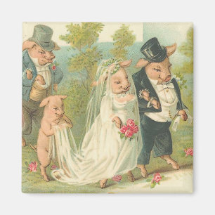 Adorable Vintage Pig Bride and Groom Magnet