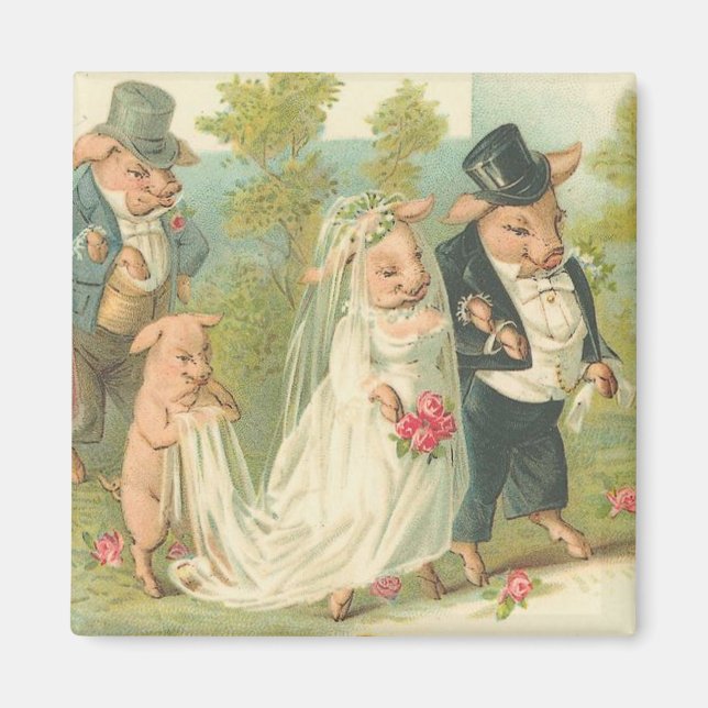 Adorable Vintage Pig Bride and Groom Magnet (Front)