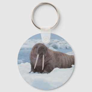 Adorable Walrus Key Ring