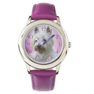 Adorable west highland white terrier watch