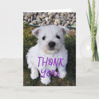 Adorable Westie Puppy Photo Thank You Card