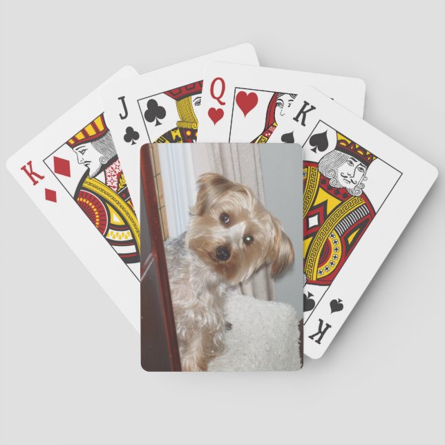 Adorable Westie/Yorkie Playing Cards (Back)
