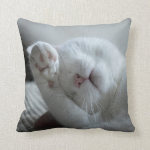 Adorable White Cat Throw Pillow