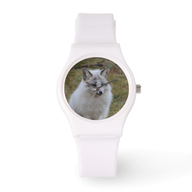 Adorable White Fox Watch (Front)