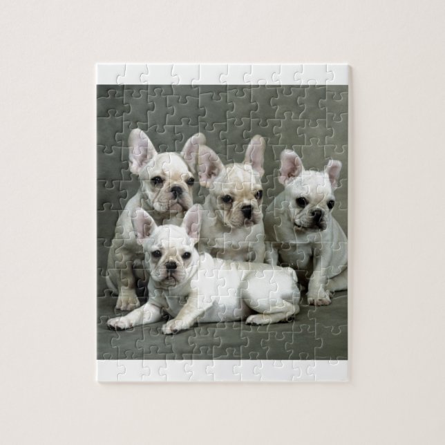 Adorable White French Bulldogs Jigsaw Puzzle (Vertical)