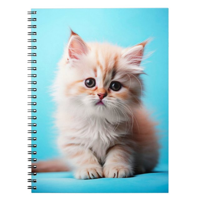 Adorable White Kitten Potrait-54971 Notebook (Front)
