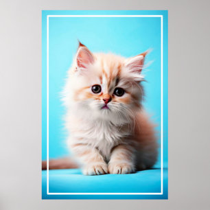 Adorable White Kitten Potrait-54971 Poster
