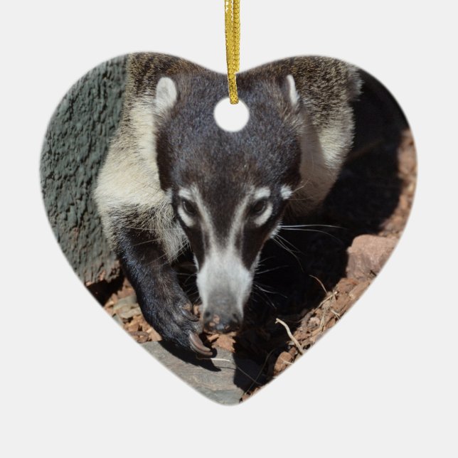 Adorable White Nosed Coati Ceramic Tree Decoration (Front)