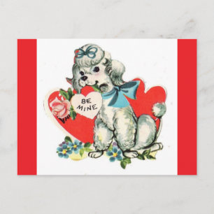 Adorable White Poodle Vintage Valentine Postcard