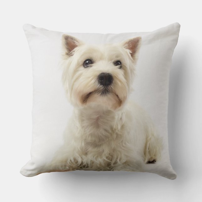 Adorable White West Highland Terrier Cushion (Front)
