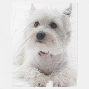 Adorable White West Highland Terrier Fleece Blanket