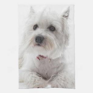 Adorable White West Highland Terrier Tea Towel