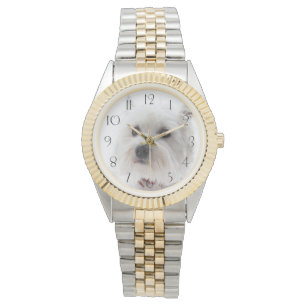 Adorable White West Highland Terrier Watch