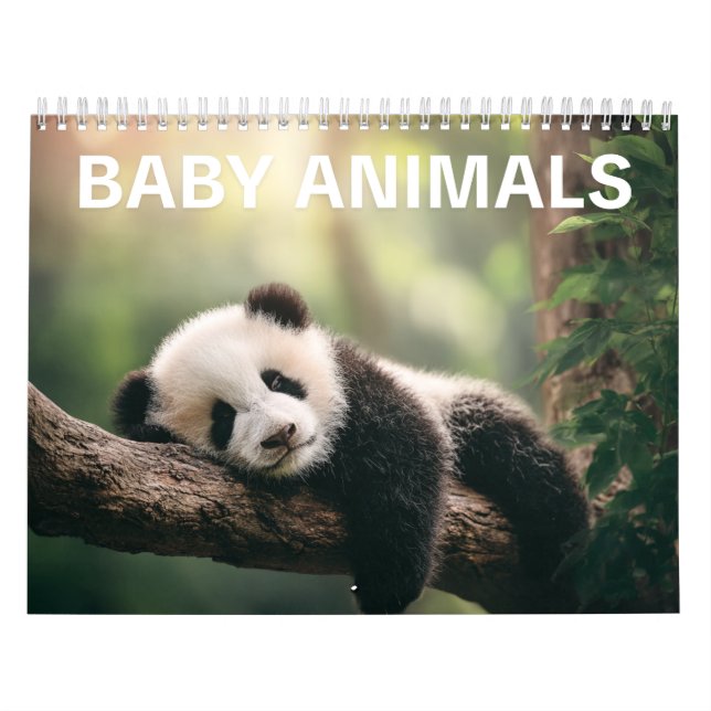 Adorable Wildlife Photography | Baby Animals Wall Calendar (Cover)