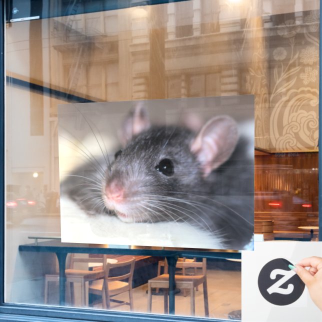 Adorable Window Cling (Cafe Window)