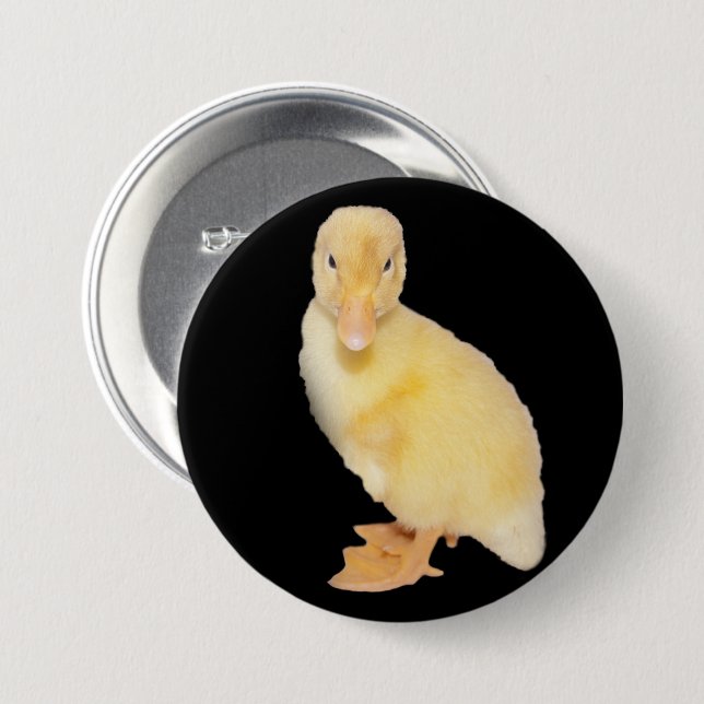 Adorable Yellow Duckling Close-Up Photograph 7.5 Cm Round Badge (Front & Back)