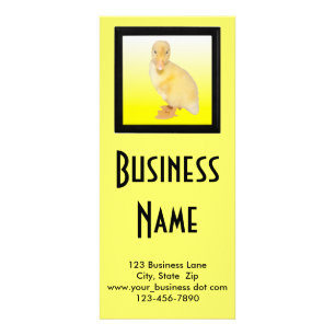 Adorable Yellow Duckling Photo Animal Care Custom Rack Card