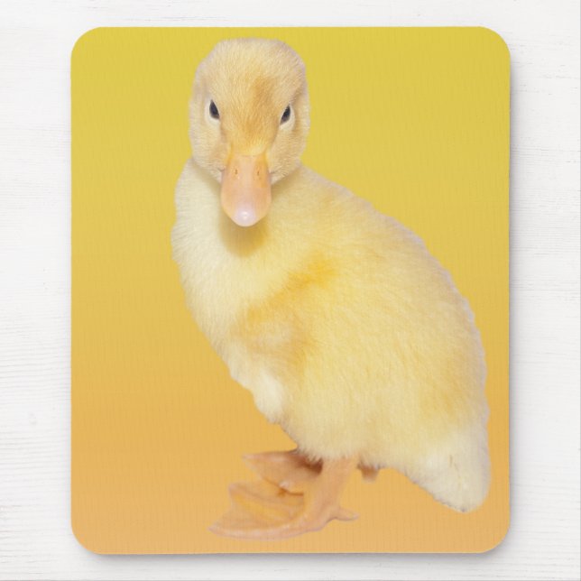 Adorable Yellow Duckling Photograph Mouse Mat (Front)
