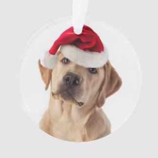 Adorable Yellow Lab with Santa Hat Ornament