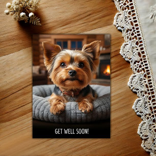 Adorable Yorkshire Terrier Get Well Postcard