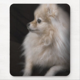 Adorably Cute Posing Pomeranian Puppy Mouse Mat