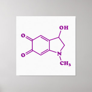 Adrenaline Molecular Chemical Formula Canvas Print