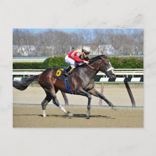 Adulator Postcard