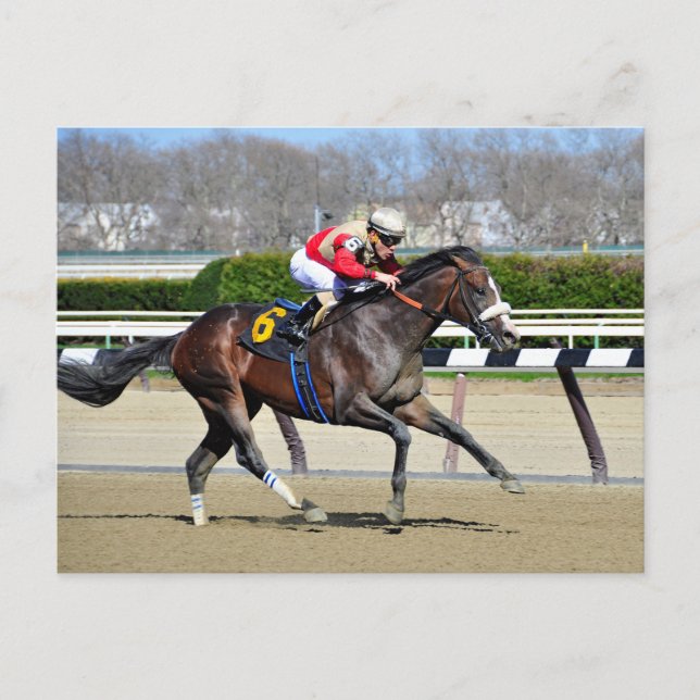 Adulator Postcard (Front)