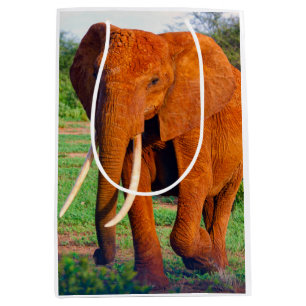 Adult African Elephant Photograph Medium Gift Bag