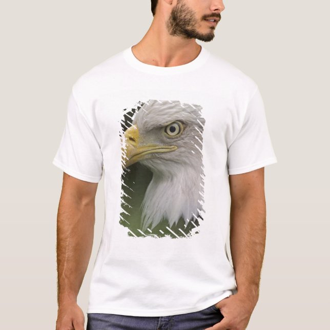 Adult Bald Eagle Portrait, Haliaeetus T-Shirt (Front)