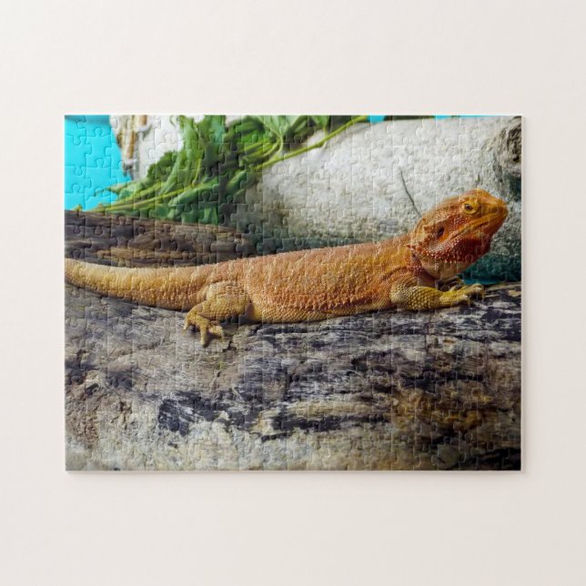Adult Bearded Dragon Lizard Jigsaw Puzzle (Horizontal)