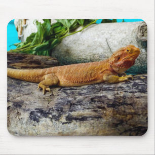 Adult Bearded Dragon Lizard Mouse Mat