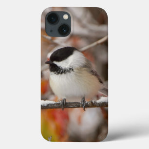 Adult Black-capped Chickadee in Snow iPhone 13 Case