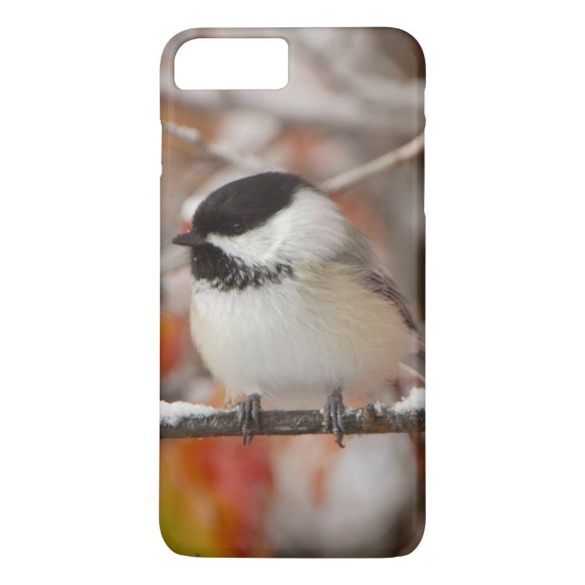 Adult Black-capped Chickadee in Snow Case-Mate iPhone Case (Back)
