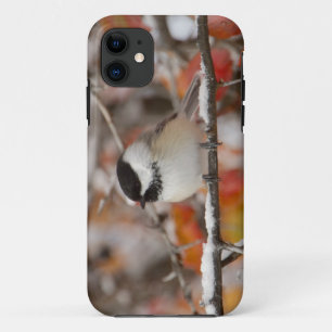 Adult Black-capped Chickadee in Snow iPhone 11 Case