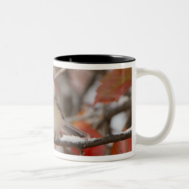 Adult Black-capped Chickadee in Snow Two-Tone Coffee Mug (Right)
