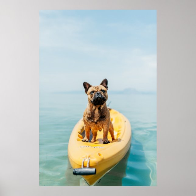 Adult brown French bulldog standing on kayak Poster (Front)