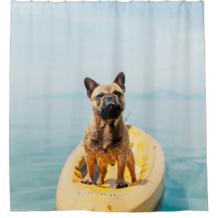 Adult brown French bulldog standing on kayak Shower Curtain
