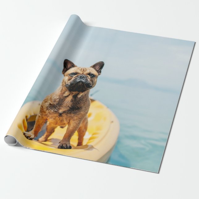 Adult brown French bulldog standing on kayak Wrapping Paper (Unrolled)
