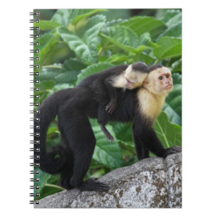Adult Capuchin Monkey Carrying Baby On Its Back Notebook