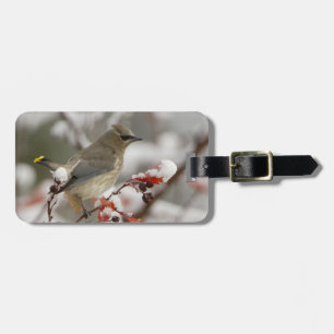 Adult Cedar Waxwing on hawthorn with snow Luggage Tag