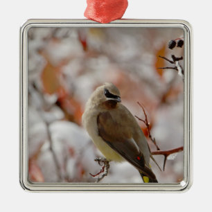 Adult Cedar Waxwing on hawthorn with snow, Metal Tree Decoration