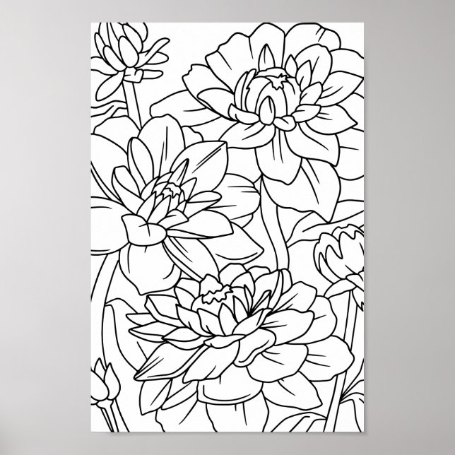Adult Colouring Lotus Flowers 1 Poster (Front)