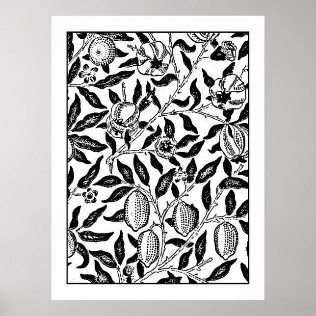 Adult Colouring Poster William Morris Exotic Fruit (Front)