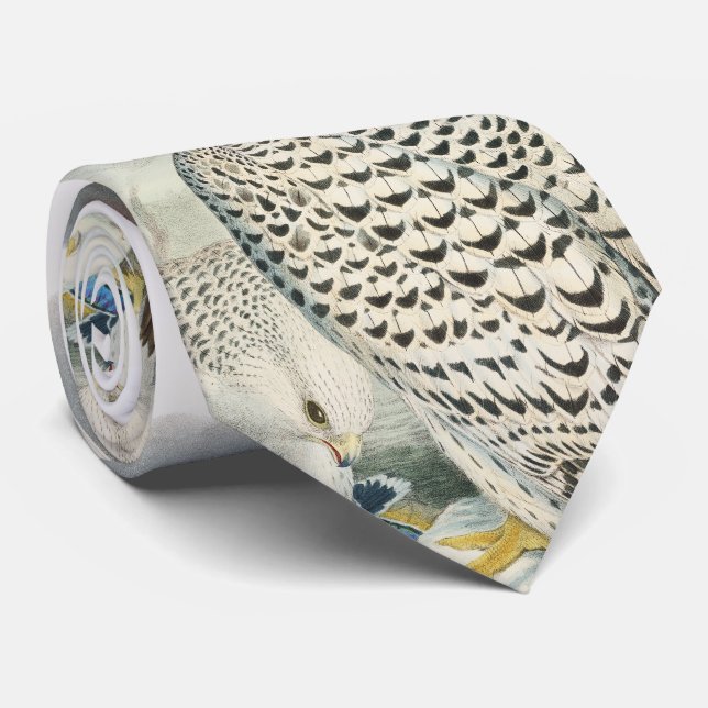 Adult Dark Greenland Falcon Birds of Great Britain Tie (Rolled)