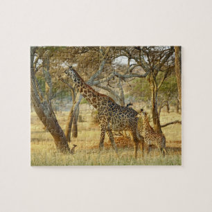 Adult female and juvenile Giraffe, Giraffa Jigsaw Puzzle