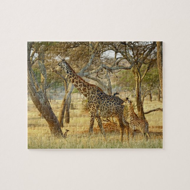 Adult female and juvenile Giraffe, Giraffa Jigsaw Puzzle (Horizontal)