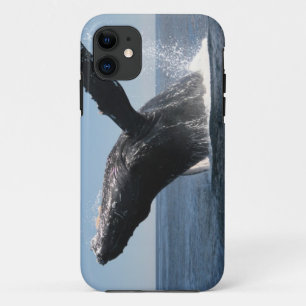 Adult Humpback Whale Breaching iPhone 11 Case